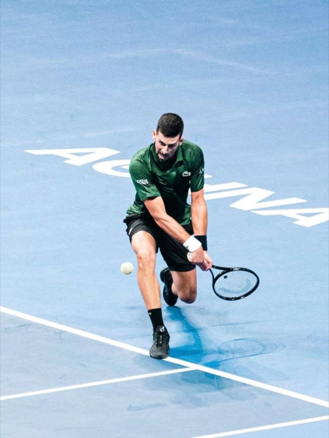 PG电子官方-年终总决赛完胜ATP总决赛，德约科维奇关键制胜的简单介绍