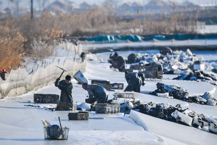 关于华人中生活中低峯时期,守望的信息 关于华人中生活中低峯时期,守望的信息
