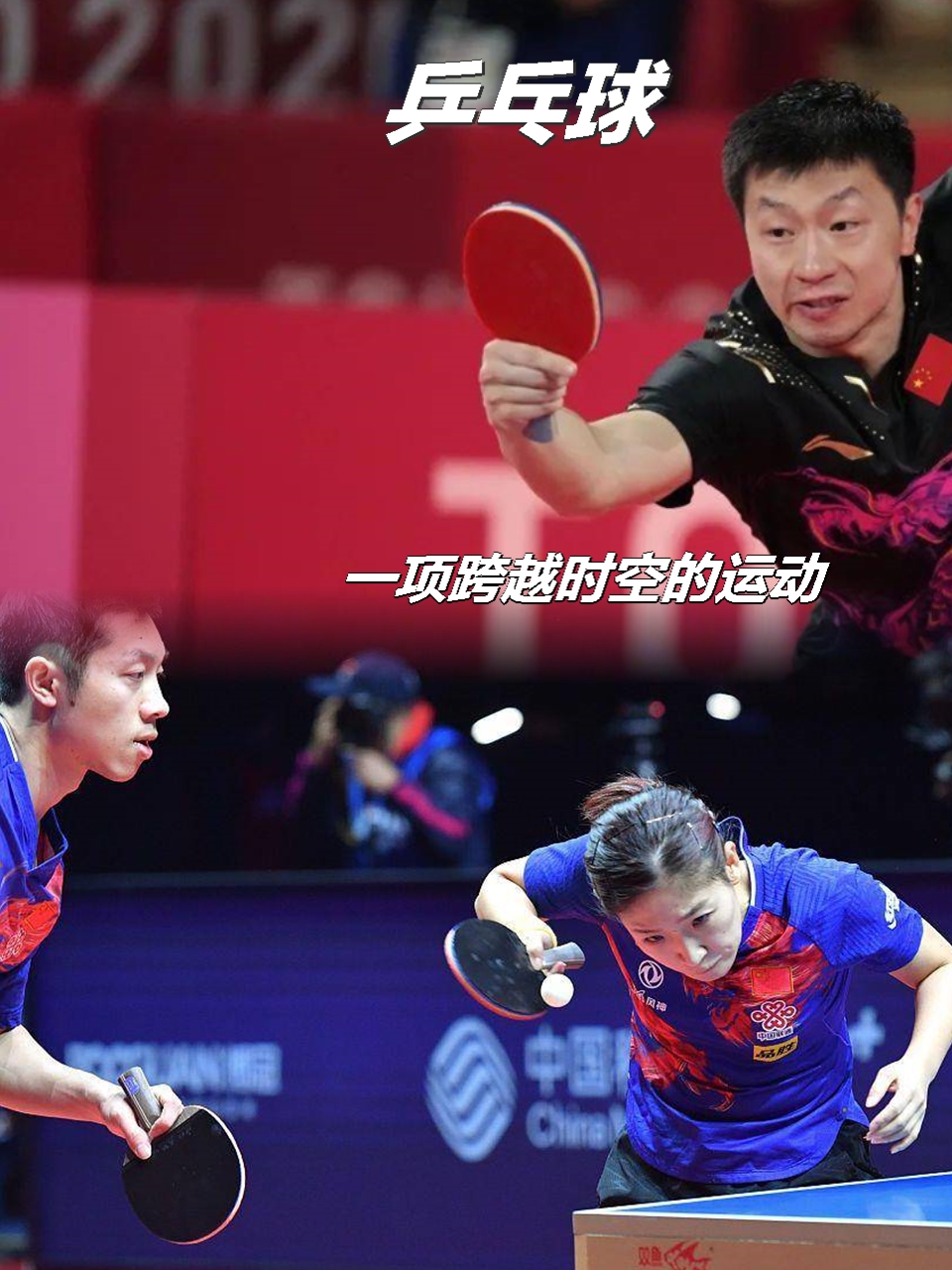 法国乒乓球队逆转韩国乒乓球队，许昕关键制胜的简单介绍