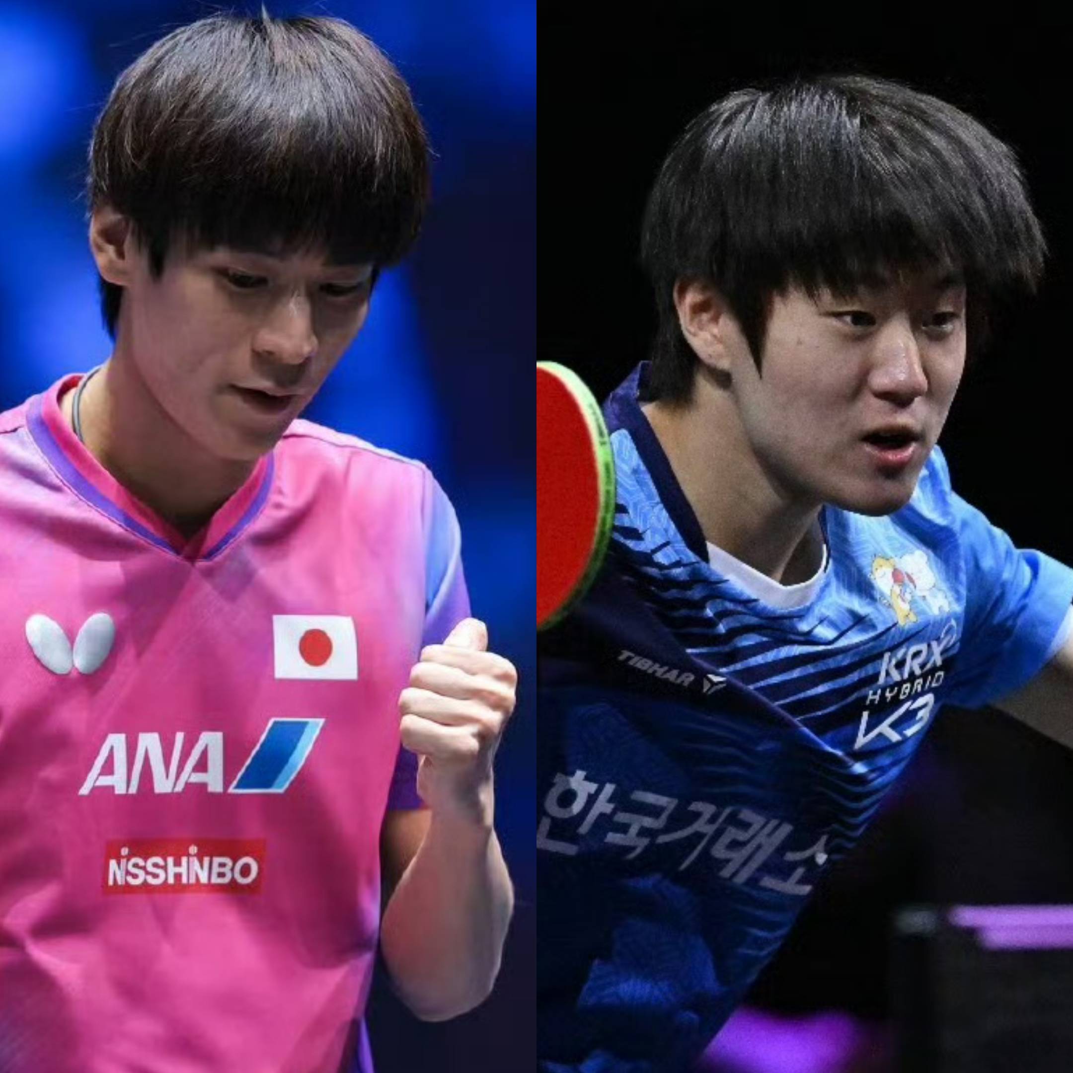 波兰乒乓球队完胜中国乒乓球队,张本智和高光表现的简单介绍 波兰乒乓球队完胜中国乒乓球队,张本智和高光表现的简单介绍