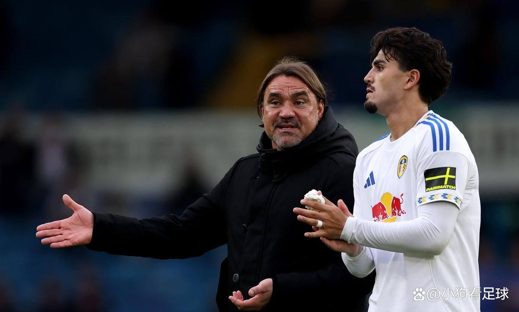 利兹联新援表现出众提升球队实力